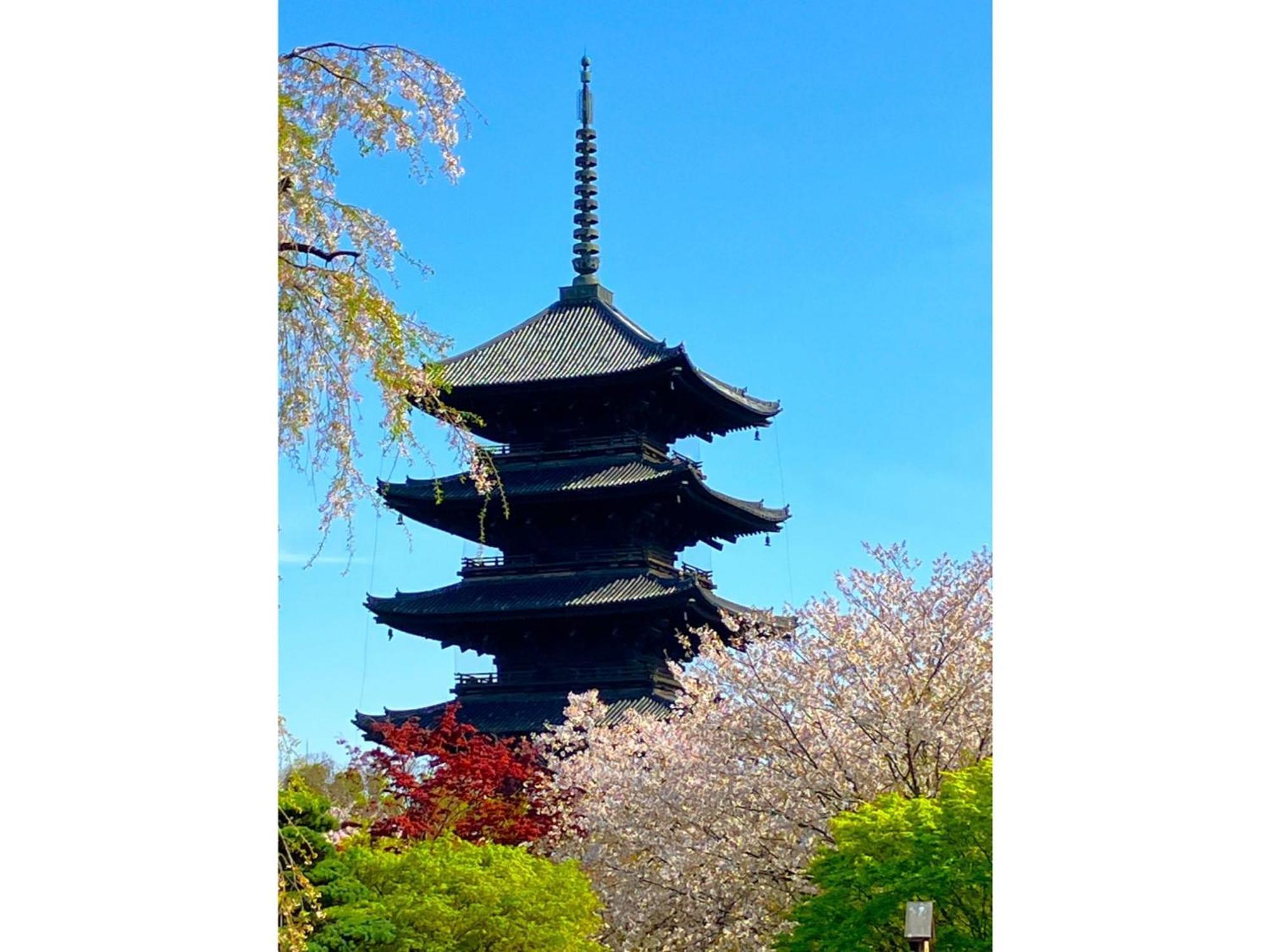 Premium Toji - Vacation Stay 28842V Kyoto Eksteriør billede